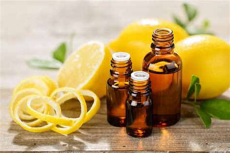 Citrus Magic: Revitalizing Your Space with the Essence of Lemon